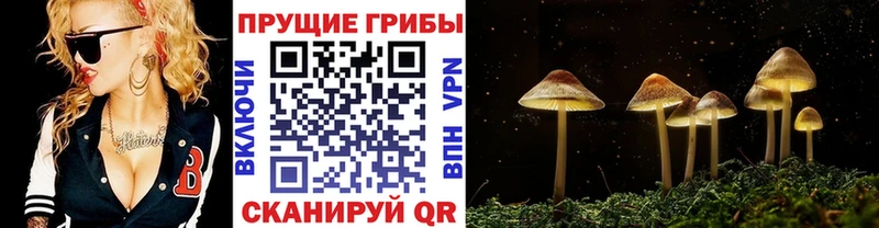 Галлюциногенные грибы прущие грибы  Купить  Красноуральск 
